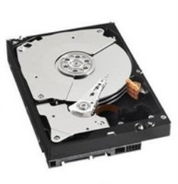 Western Digital HARD DISK BLACK 1 TB SATA 3 (WD1003FZEX)